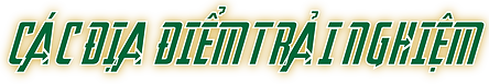 họa tiết-21.png