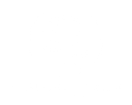 PSN Logo_White.png