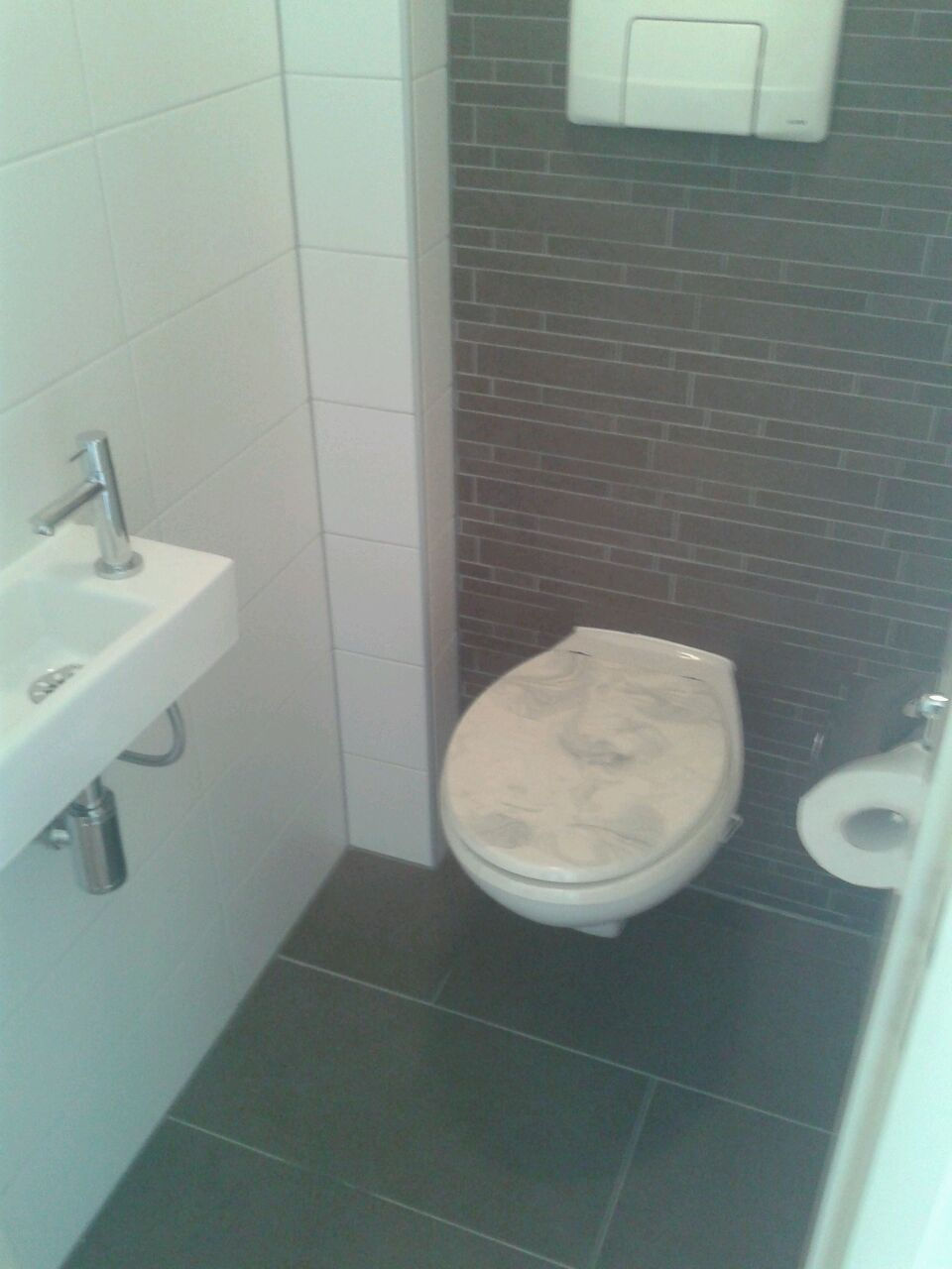 Vernieuwen toilet