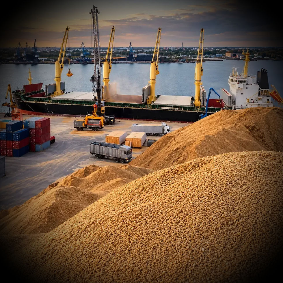 Grain