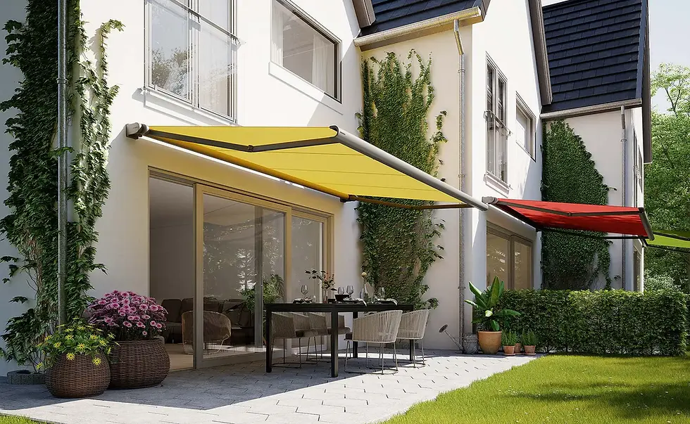 Дизайни маркіз 2026