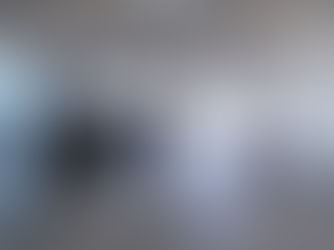 Ворота для мийки