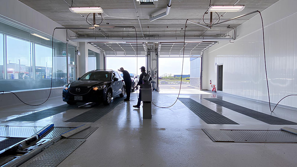 Ворота для боксів мийки