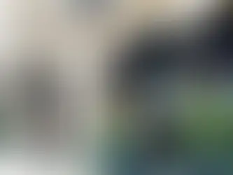 Маркіза з логотипом
