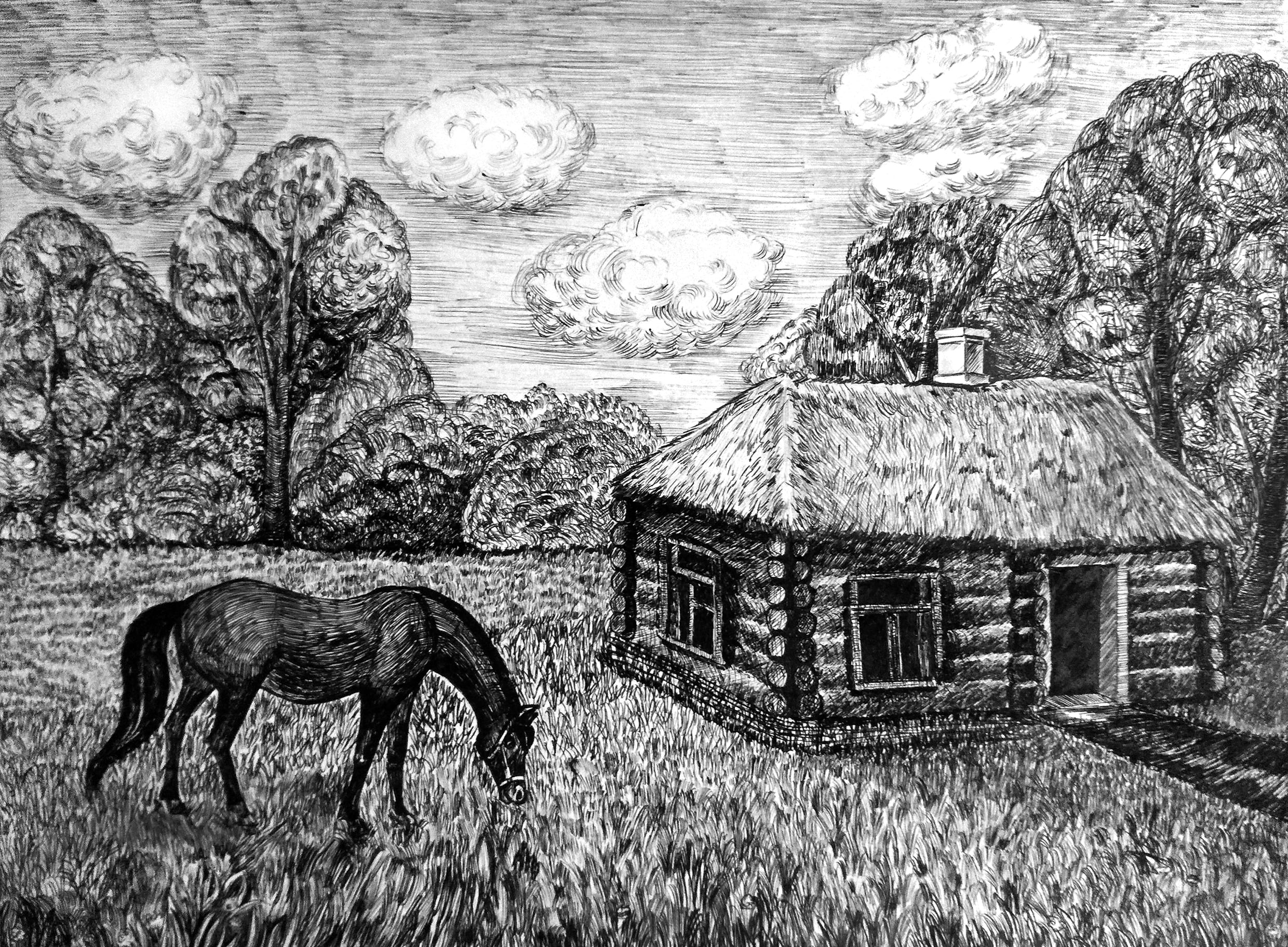 Погуляй Александра, 16 лет