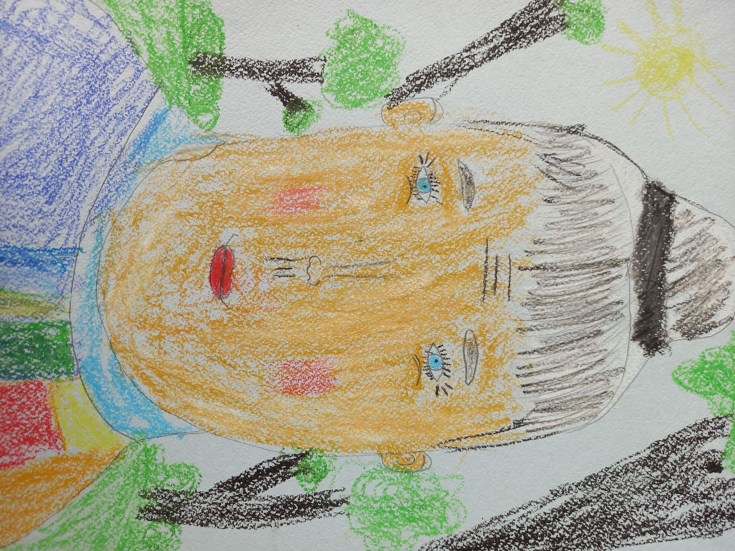 Мозжегорова Алиса, 8 лет