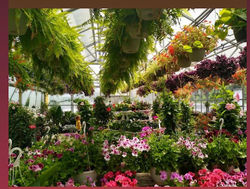 image1 (1)