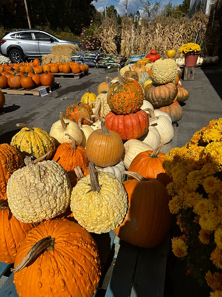 IMG_5207.jpeg
