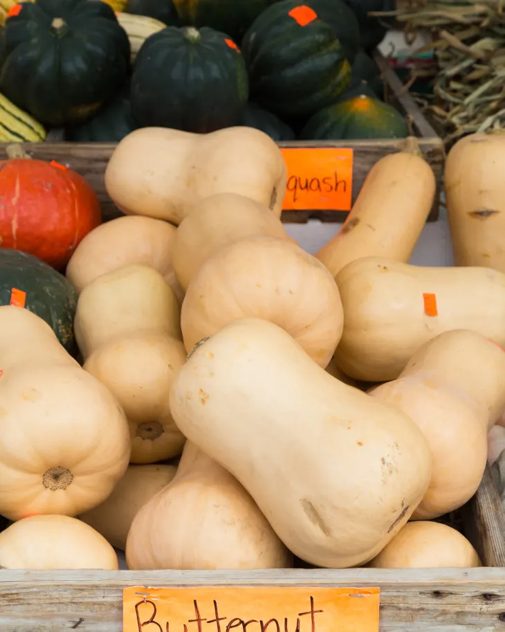winter squash