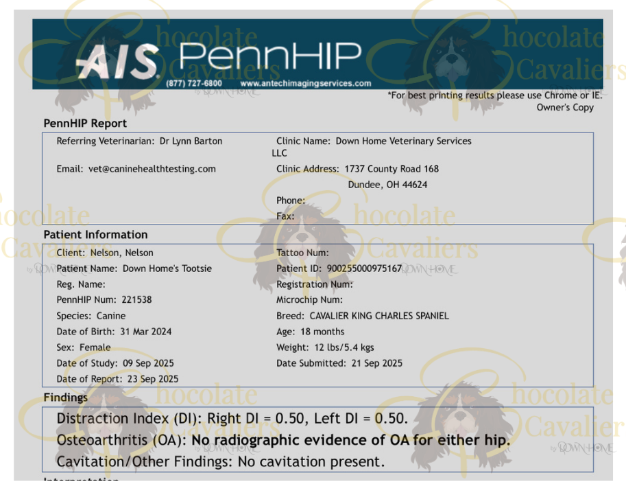 Tootsie's WM PennHIP