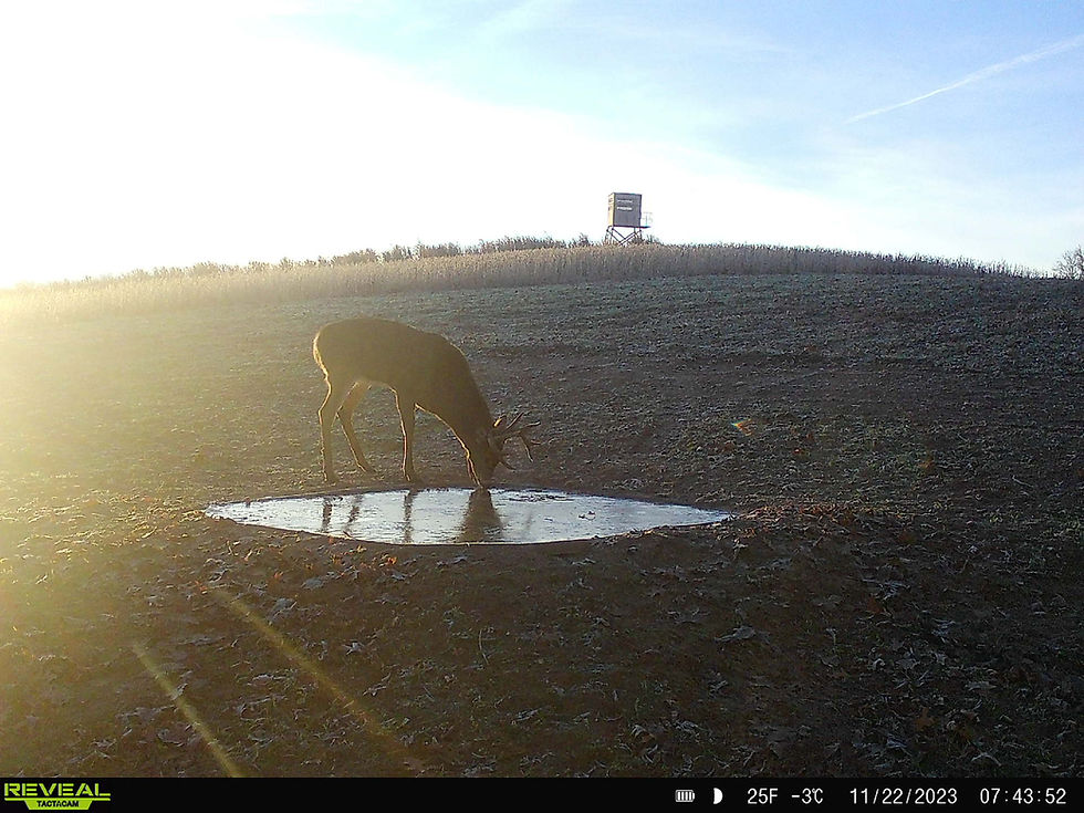 Thumbnail: DEER PONDS