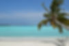 DSC_0164.jpg