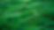 Grass Blades.jpg
