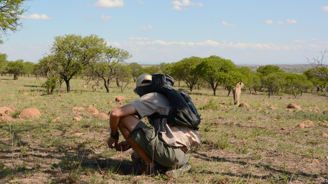 Be part of a legacy to save the cheetah.