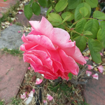 Why I Struggle To Make Plans