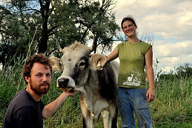 N2-anja-janusz-kuh-emmily-(willi-lehnert)-1200x800.jpg