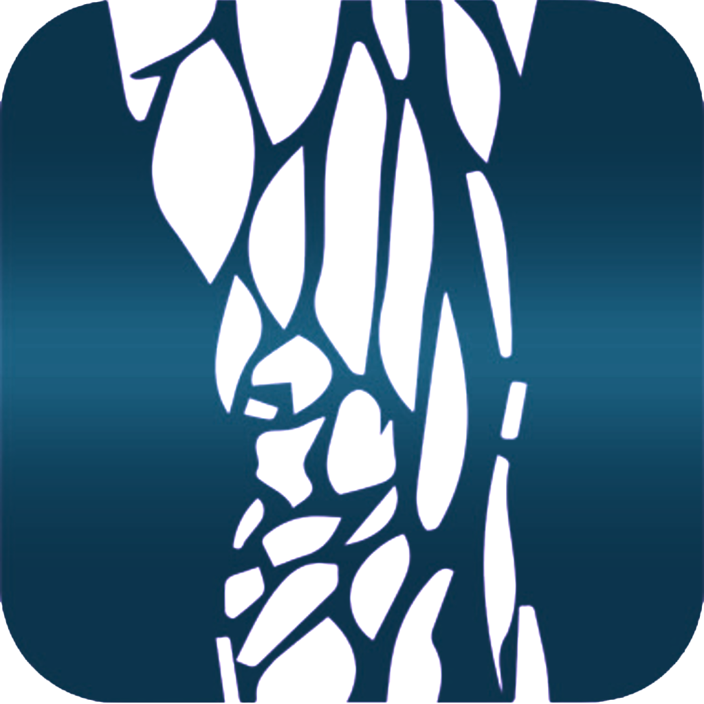 Join “Флебология” on Spaces by Wix