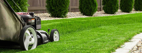 Jardineria.jpg