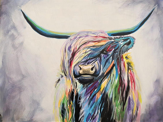 highland cow by Rachel Brimacombe