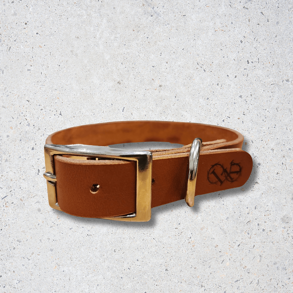 Genuine leather dog collar