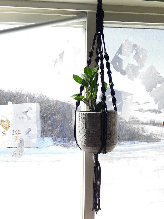 Thumbnail: Macrame Plant Hanger Kit