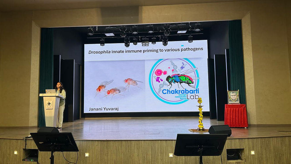 a4b513eb-2b8a-4e03-bf6a-ab3b74ee2b8d