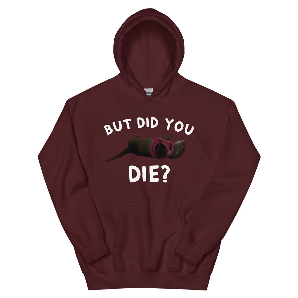 Thumbnail: "But Did You Die?" Hoodie (White Text)