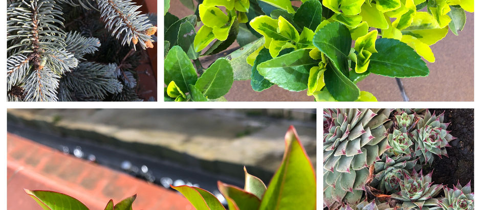 No se puede detener la primavera. ¿Qué es la gestión emocional?