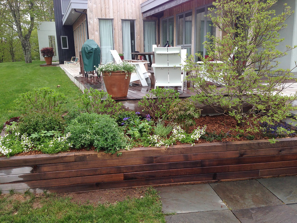 Raised Bed