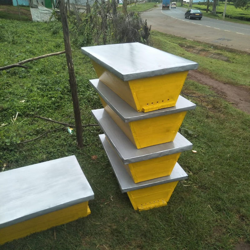 Kenya Top Bar Hive