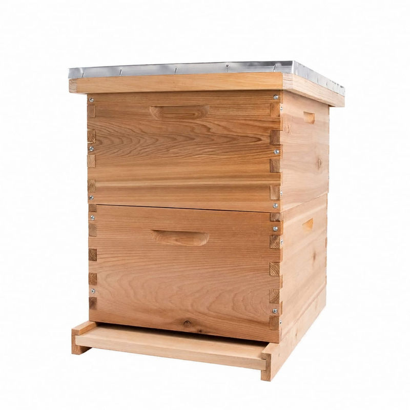 Langstroth Premium Deep Modern Hive