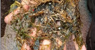 Screenshot 2025-07-23 154112.png