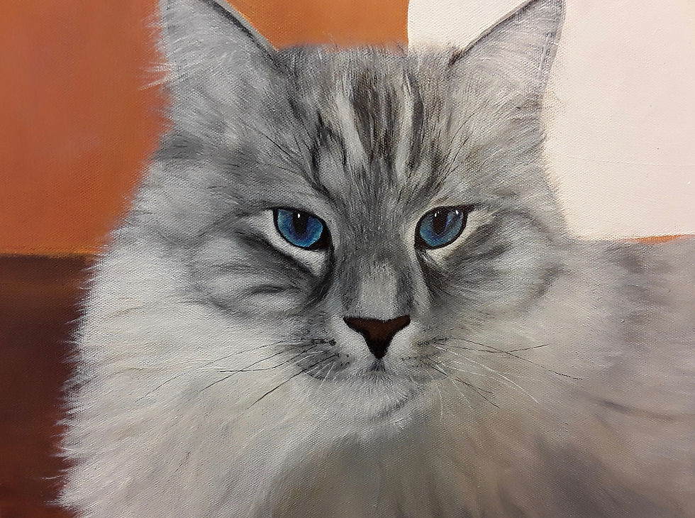 Katze