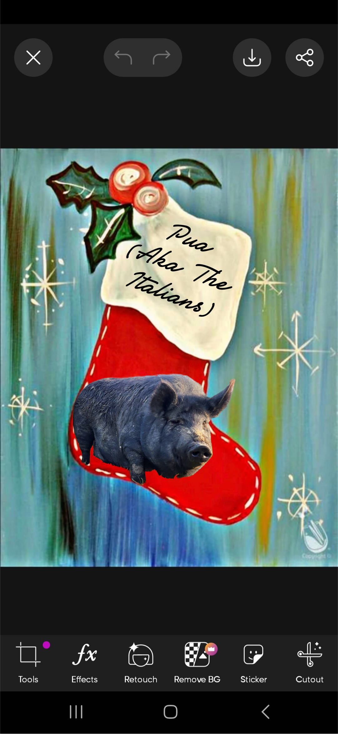 Pua (one half of the Italians) Stocking