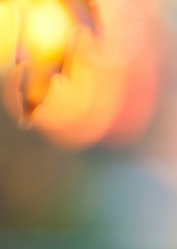 Lichterfest_Hintergrund
