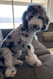 IMG_8388.jpeg