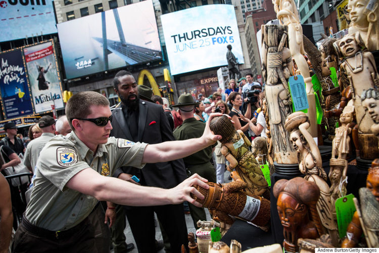 5IvoryCrush FWS Takes Pcs.jpg