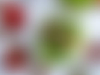 Customized corporate salad plans