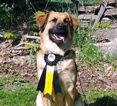 Kona_edited.jpg
