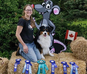 353834993_5895517577230063_3148774193271