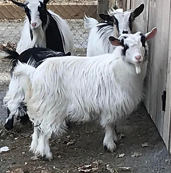 8 months bubbles.jpg