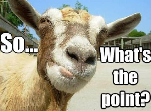 whats-the-point (1).jpg