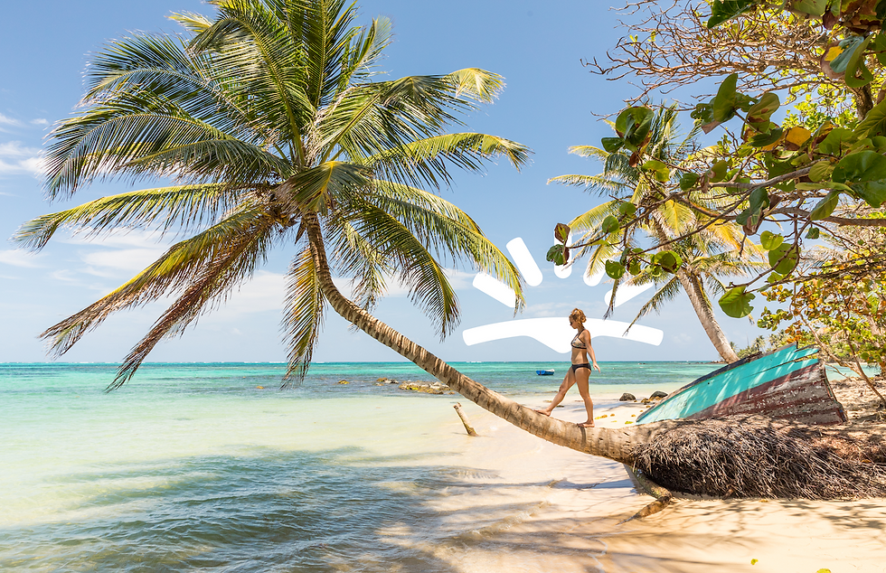 Woman in bikini balances on leaning palm tree over turquoise sea on a sunny beach. Lush green foliage and blue sky in the background.