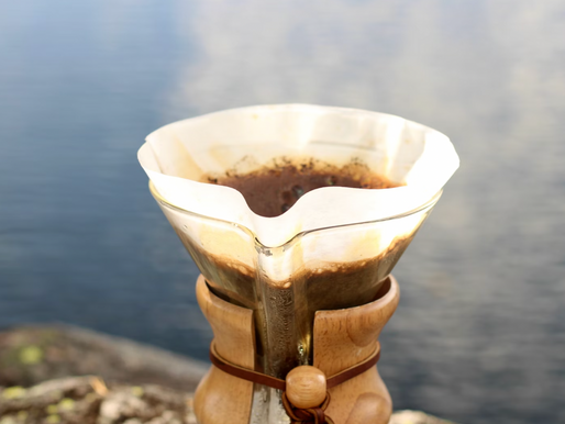 Visiting Coffee Farms in Guatemala — What to Know Before You Go