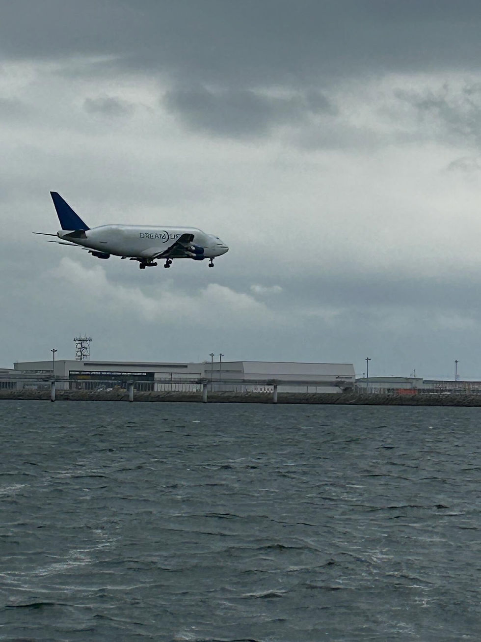 本日は、セントレア空港沖でのチャーター便です。