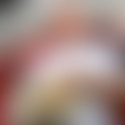 ¡Un pedazo de historia rojinegra llega al museo!