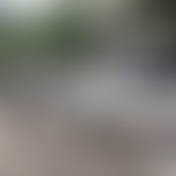 Golpe al los AK 47 y Tren de Aragua #envivo Policía presenta capturados. #seguridad