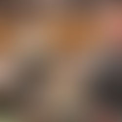 Presidente #petro hace fuerte regaño al comandante de policía de La Dorada #Caldas