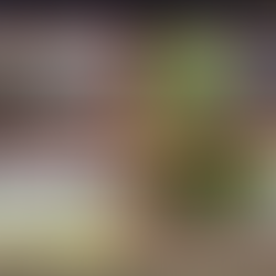 🔍Estas son las noticias más impactantes para la Inteligencia Artificial (IA) en Cúcuta durante el 2025