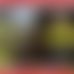 Jugador Cucuteño es #viral tras celebración de gol al ritmo de sanjuanero.